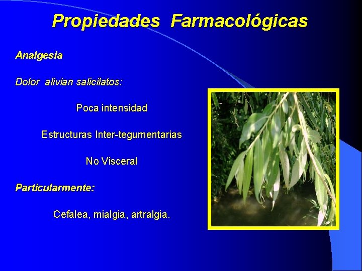 Propiedades Farmacológicas Analgesia Dolor alivian salicilatos: Poca intensidad Estructuras Inter-tegumentarias No Visceral Particularmente: Cefalea,