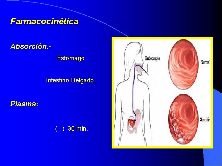 Farmacocinética Absorción. Estomago Intestino Delgado. Plasma: ( ) 30 min. 