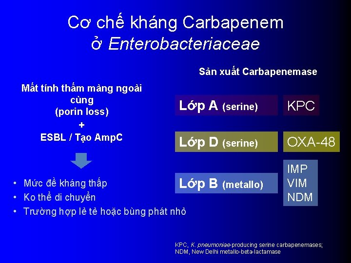 Cơ chế kháng Carbapenem ở Enterobacteriaceae Sản xuất Carbapenemase Mất tính thấm màng ngoài