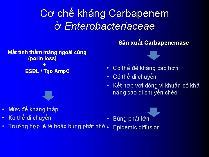 Cơ chế kháng Carbapenem ở Enterobacteriaceae Sản xuất Carbapenemase Mất tính thấm màng ngoài