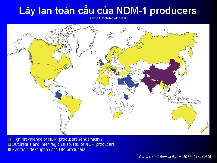 Lây lan toàn cẩu của NDM-1 producers (class B metalloproteases) High prevalence of NDM