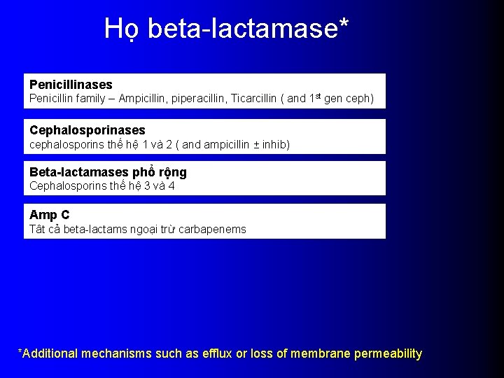 Họ beta-lactamase* Penicillinases Penicillin family – Ampicillin, piperacillin, Ticarcillin ( and 1 st gen