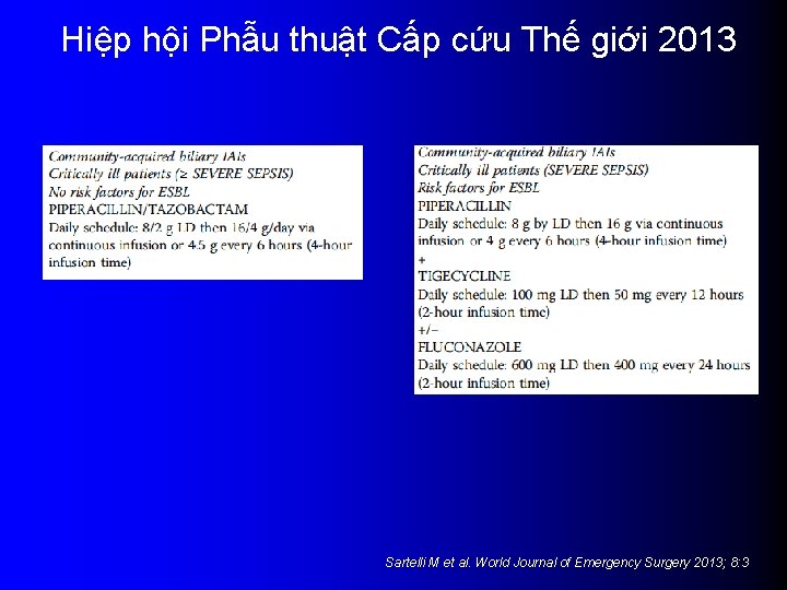 Hiệp hội Phẫu thuật Cấp cứu Thế giới 2013 Sartelli M et al. World