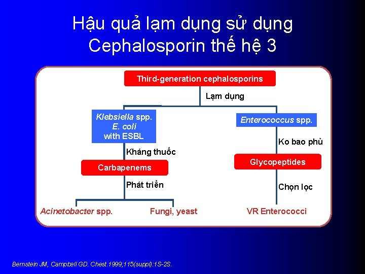 Hậu quả lạm dụng sử dụng Cephalosporin thế hệ 3 Third-generation cephalosporins Lạm dụng