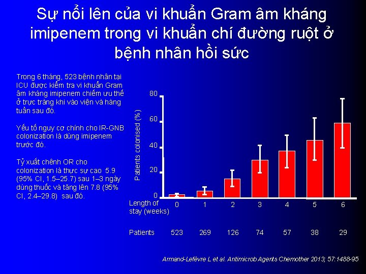 Sự nổi lên của vi khuẩn Gram âm kháng imipenem trong vi khuẩn chí