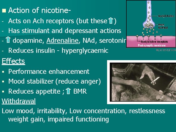 n Action - of nicotine- Acts on Ach receptors (but these ) Has stimulant