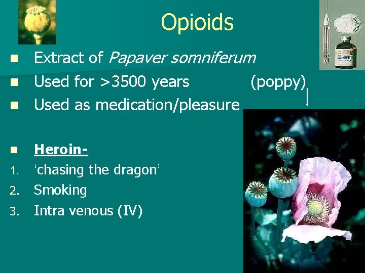 Opioids Extract of Papaver somniferum n Used for >3500 years (poppy) n Used as