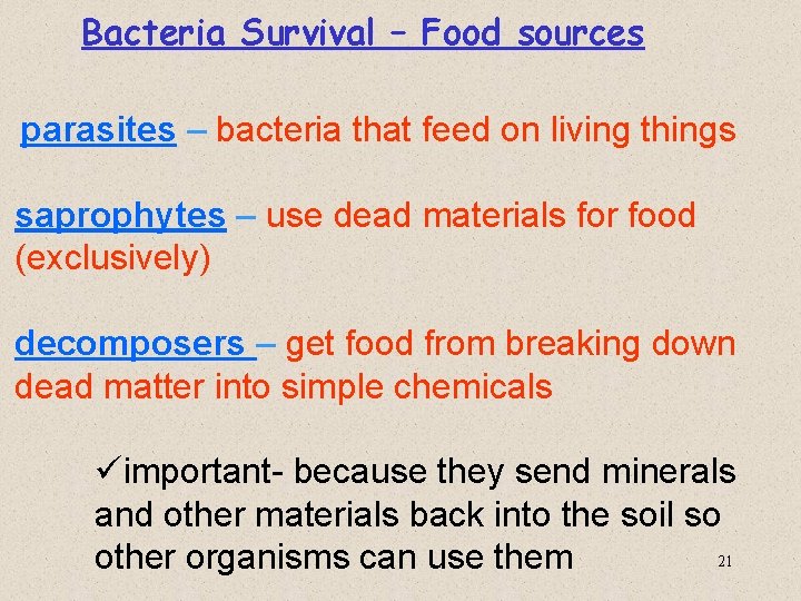 Bacteria Survival – Food sources parasites – bacteria that feed on living things saprophytes