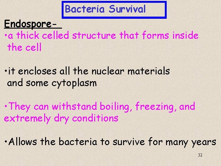 Bacteria Survival Endospore • a thick celled structure that forms inside the cell •