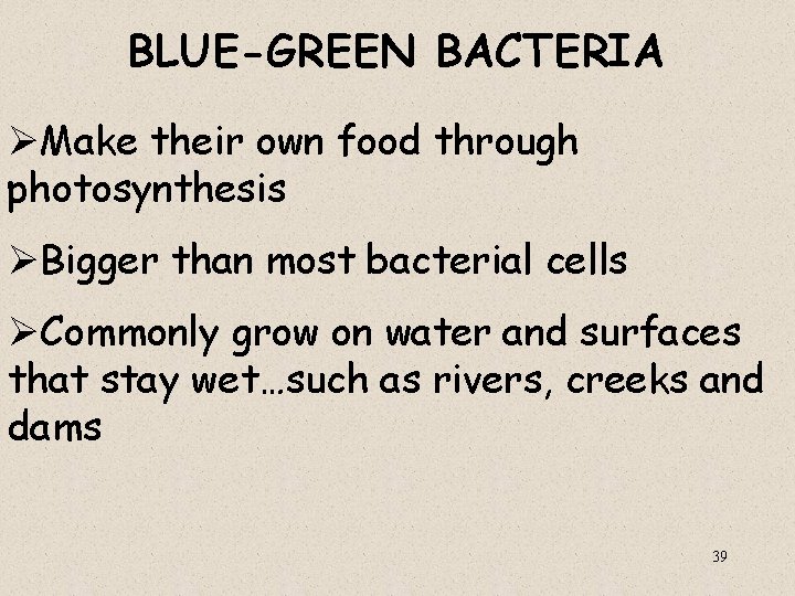 BLUE-GREEN BACTERIA ØMake their own food through photosynthesis ØBigger than most bacterial cells ØCommonly