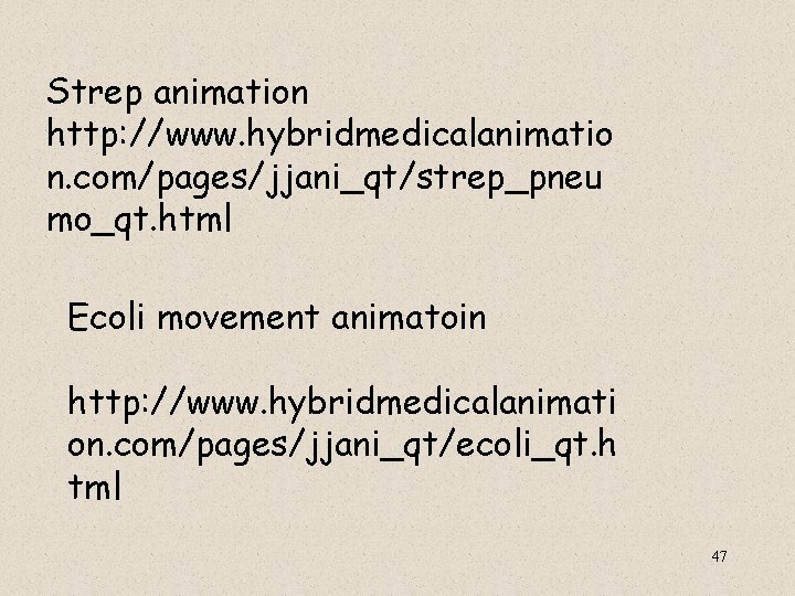  Strep animation http: //www. hybridmedicalanimatio n. com/pages/jjani_qt/strep_pneu mo_qt. html Ecoli movement animatoin http: