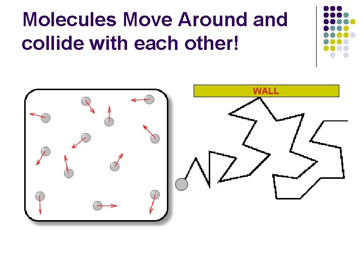 Molecules Move Around and collide with each other! WALL 