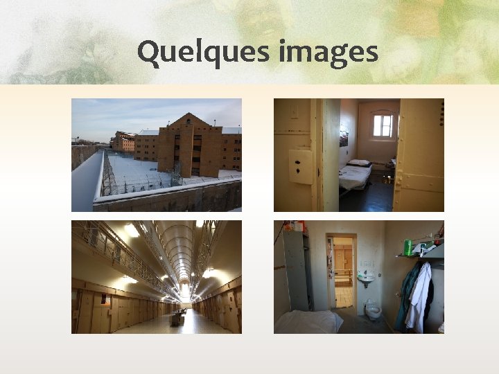 Quelques images 