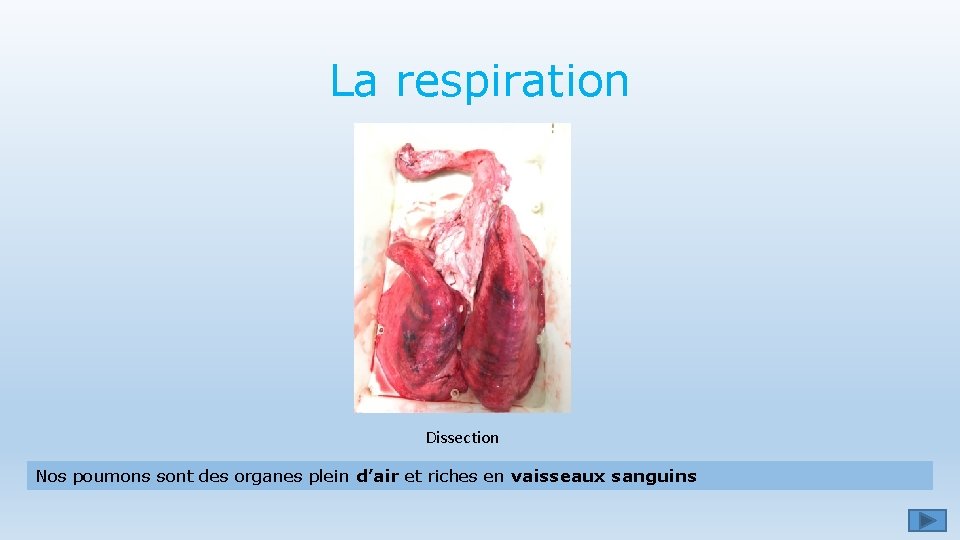 me 5 LES BESOINS DES ANIMAUX Rappels 6me