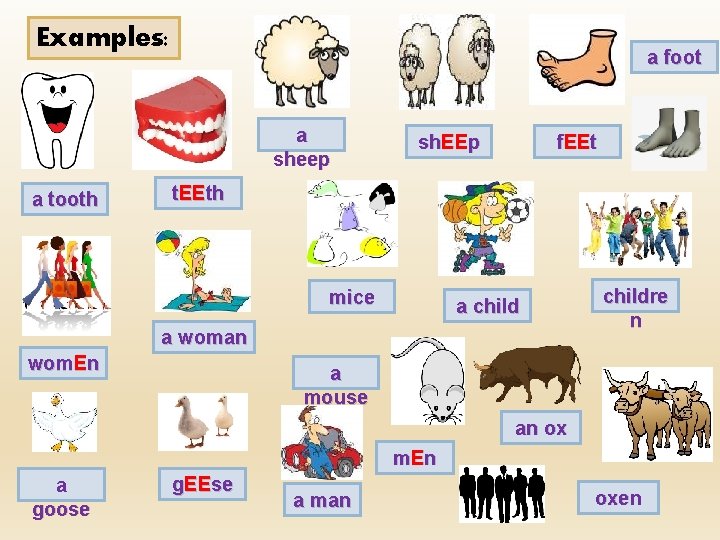 Examples: a foot a sheep a tooth sh. EEp f. EEt t. EEth mice