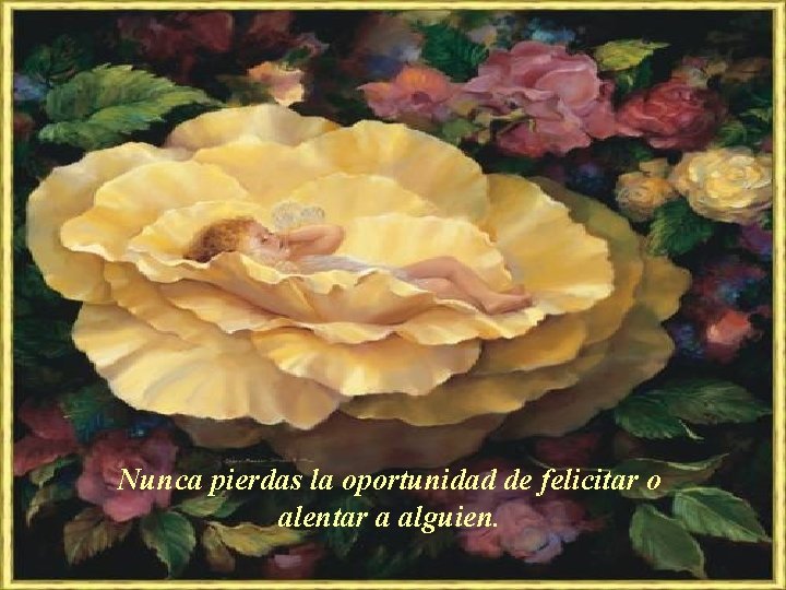 Nunca pierdas la oportunidad de felicitar o alentar a alguien. Nunca pierdas la oportunidad de felicitar o alentar a alguien.