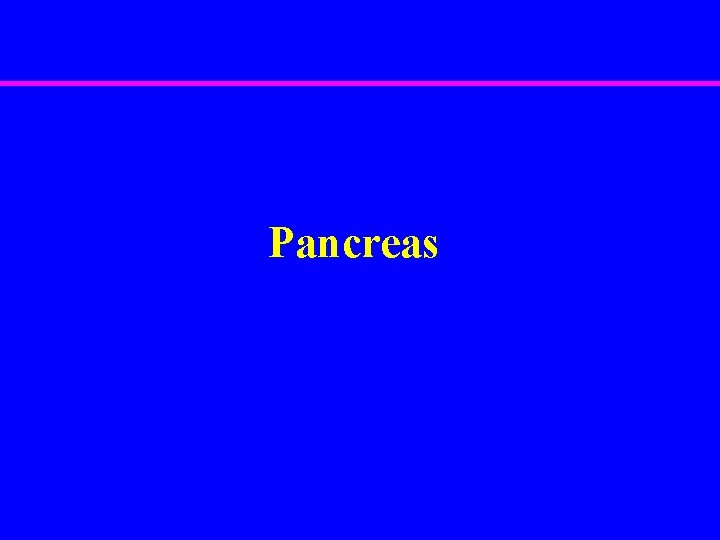 Pancreas 
