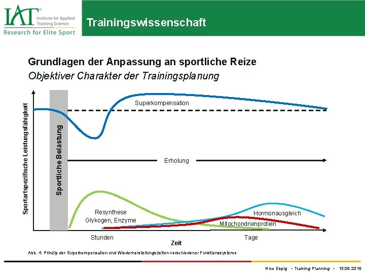 Trainingswissenschaft Superkompensation Sportliche Belastung Sportartspezifische Leistungsfähigkeit Grundlagen der Anpassung an sportliche Reize Objektiver Charakter