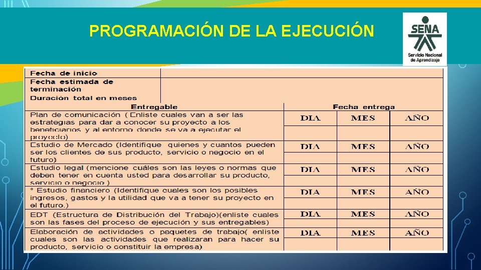 PROGRAMACIÓN DE LA EJECUCIÓN 