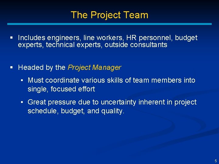 The Project Team § Includes engineers, line workers, HR personnel, budget experts, technical experts,
