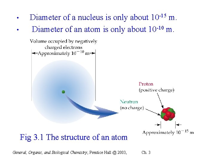  • • Diameter of a nucleus is only about 10 -15 m. Diameter