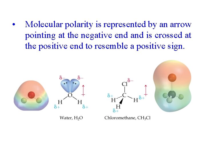  • Molecular polarity is represented by an arrow pointing at the negative end