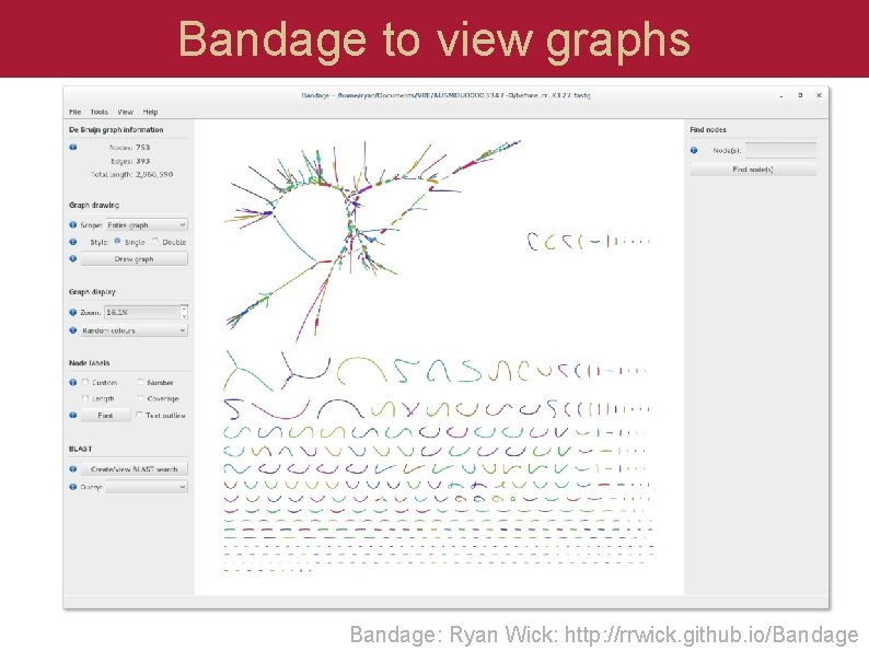 Bandage to view graphs Bandage: Ryan Wick: http: //rrwick. github. io/Bandage  Bandage to view graphs Bandage: Ryan Wick: http: //rrwick. github. io/Bandage