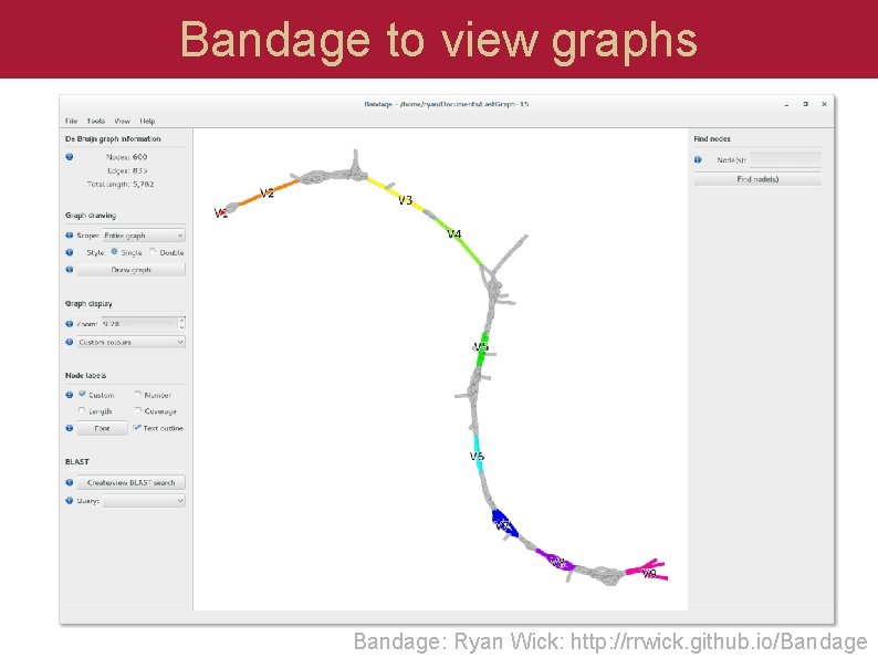 Bandage to view graphs Bandage: Ryan Wick: http: //rrwick. github. io/Bandage  Bandage to view graphs Bandage: Ryan Wick: http: //rrwick. github. io/Bandage