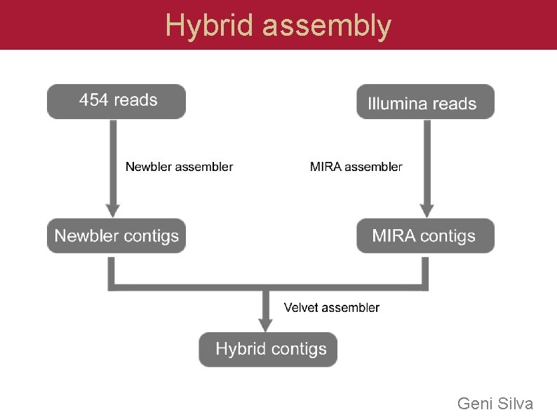 Hybrid assembly Geni Silva  Hybrid assembly Geni Silva