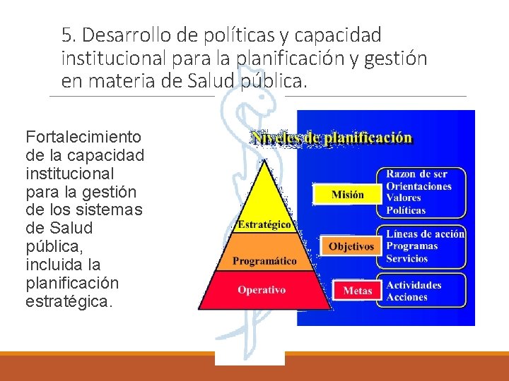 5. Desarrollo de políticas y capacidad institucional para la planificación y gestión en materia