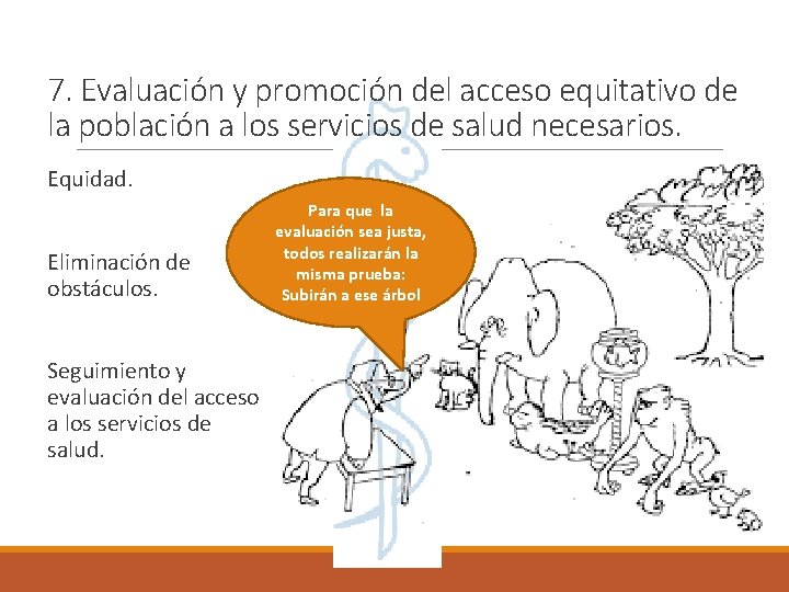 7. Evaluación y promoción del acceso equitativo de la población a los servicios de