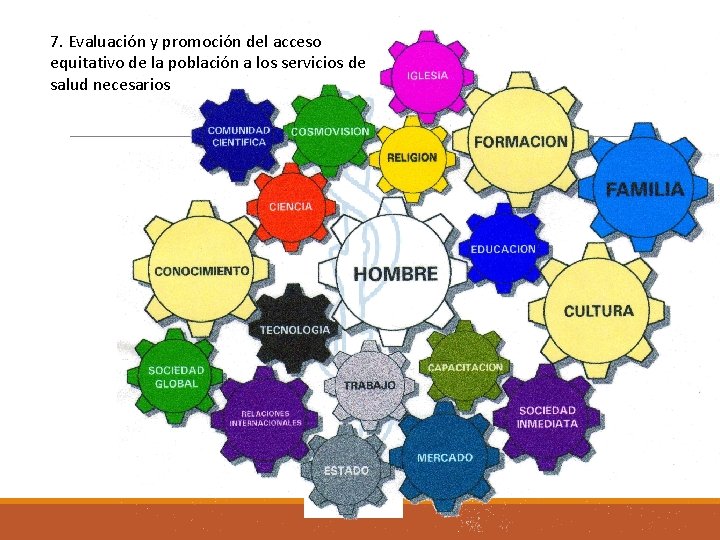 7. Evaluación y promoción del acceso equitativo de la población a los servicios de