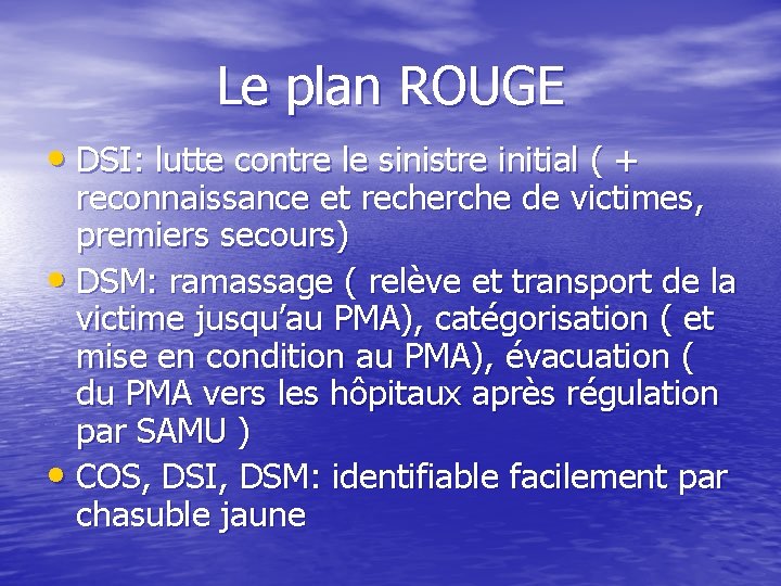 Le plan ROUGE • DSI: lutte contre le sinistre initial ( + reconnaissance et