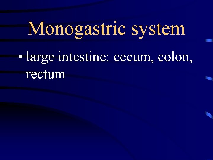 Monogastric system • large intestine: cecum, colon, rectum 