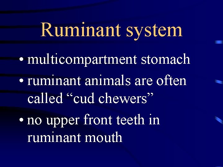 Ruminant system • multicompartment stomach • ruminant animals are often called “cud chewers” •