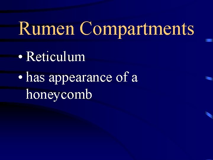 Rumen Compartments • Reticulum • has appearance of a honeycomb 