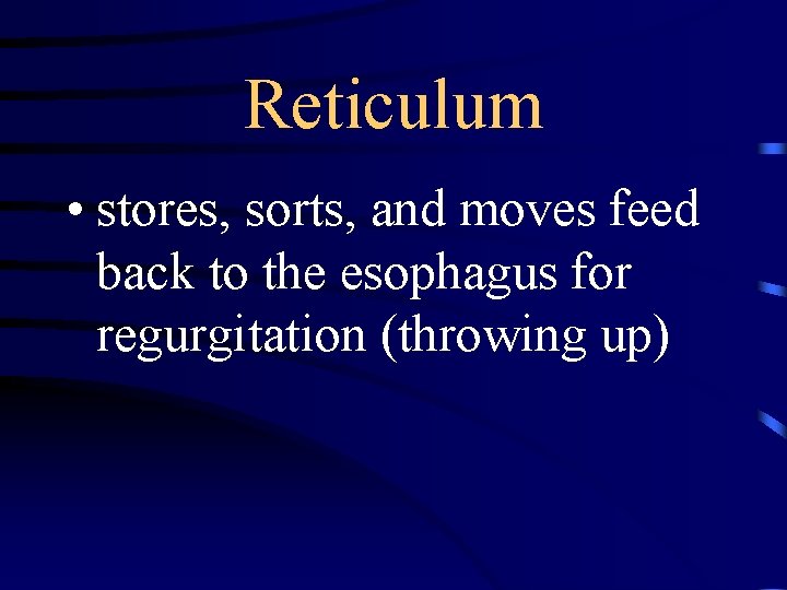 Reticulum • stores, sorts, and moves feed back to the esophagus for regurgitation (throwing