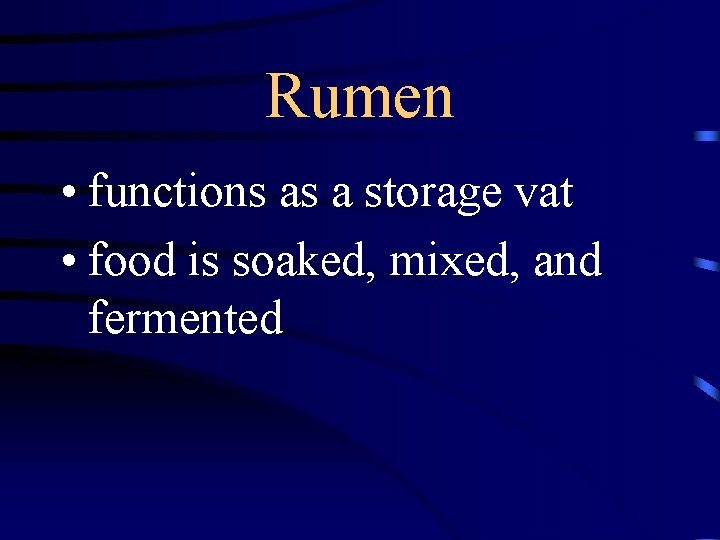 Rumen • functions as a storage vat • food is soaked, mixed, and fermented