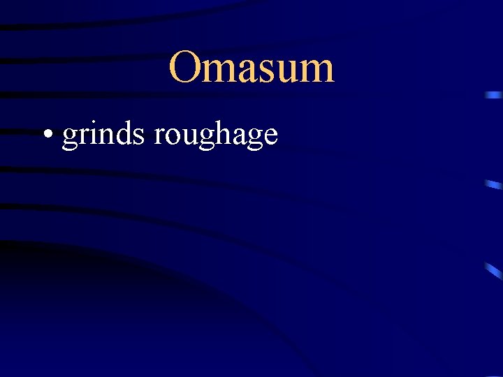 Omasum • grinds roughage 