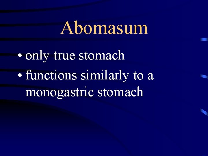 Abomasum • only true stomach • functions similarly to a monogastric stomach 