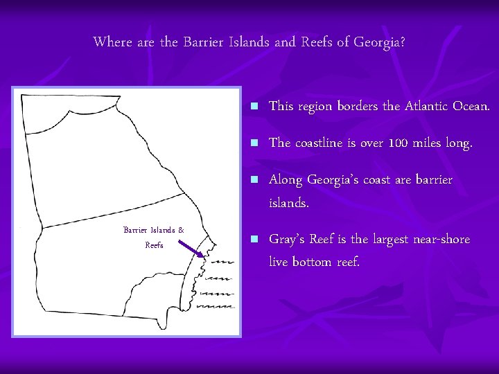 Where are the Barrier Islands and Reefs of Georgia? Barrier Islands & Reefs n