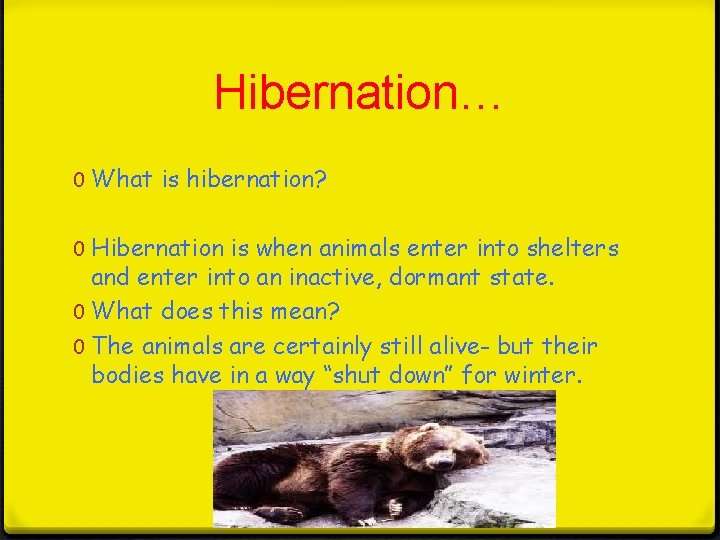 Hibernation… 0 What is hibernation? 0 Hibernation is when animals enter into shelters and