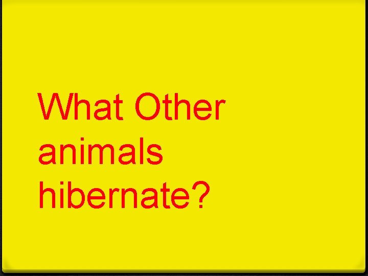 What Other animals hibernate? 