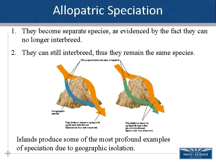 Allopatric Speciation 1. They become separate species, as evidenced by the fact they can