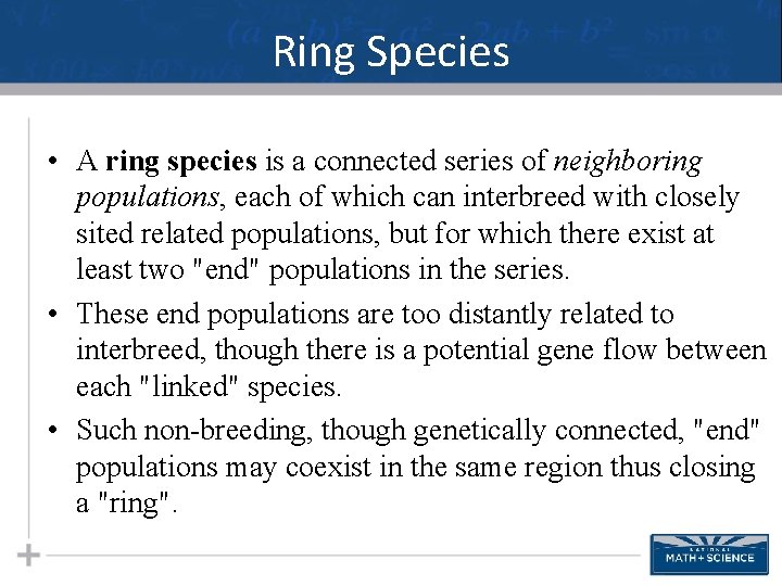 Ring Species • A ring species is a connected series of neighboring populations, each