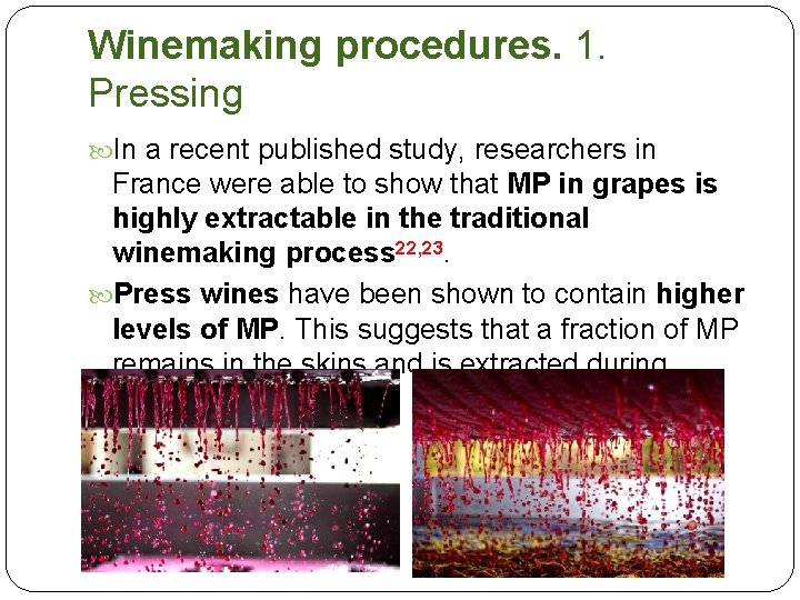 Winemaking procedures. 1. Pressing In a recent published study, researchers in France were able