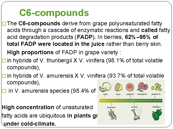 C 6 -compounds � The C 6 -compounds derive from grape polyunsaturated fatty acids