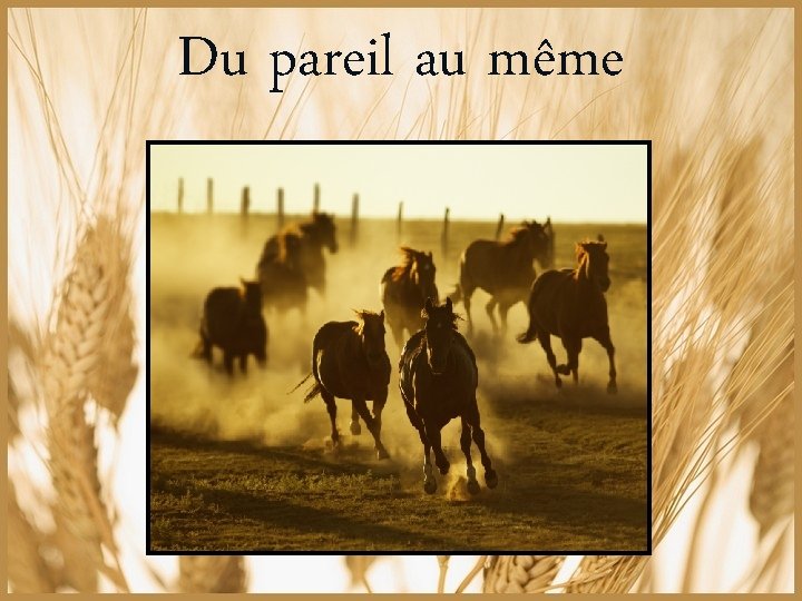 Du pareil au même 