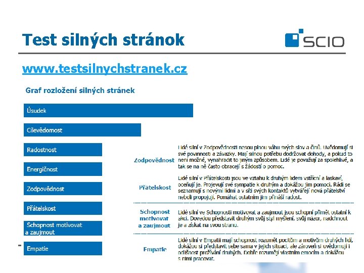 Test silných stránok www. testsilnychstranek. cz 