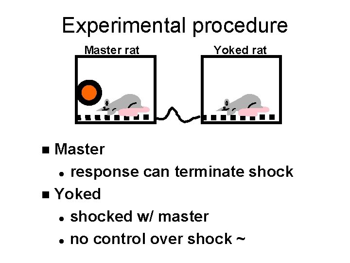 Experimental procedure Master rat Yoked rat Master l response can terminate shock n Yoked